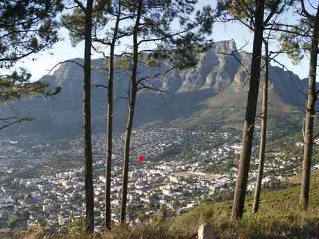 Cape Town & Winelands: The Artist's Way